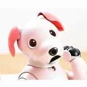djulieの画像