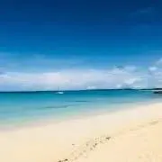 pckの画像