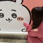 いかちゃんの画像