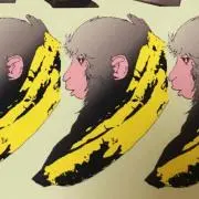 Yooの画像