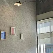 aoの画像