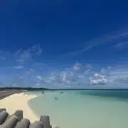 Pmpmの画像