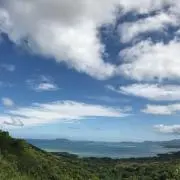 daiの画像