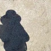 Miiの画像