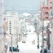 はるかの画像