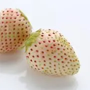 まいの画像