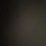 樹里の画像