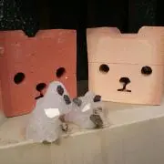 *ひまり*