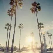 coconut＊プロフ確認＊即購入歓迎♪の画像