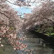 うちなあの画像