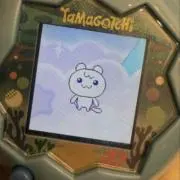 まむの画像