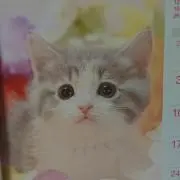 ステラの画像
