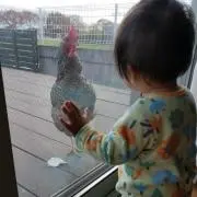 はるりんの画像