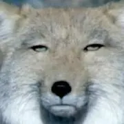 ぶちの画像
