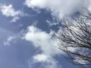 108369の画像