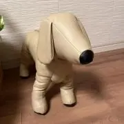 絹の画像