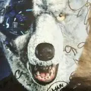 Image of ボブさん
