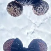kodyの画像