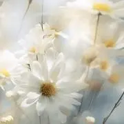 Y..13の画像