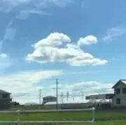 ストロベリーの画像