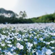 wxyz断捨離中の画像