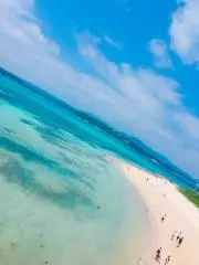 まめきちの画像