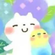 sacchin　☆即購入OK☆の画像