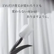 もん