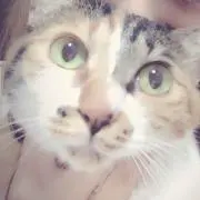 めい