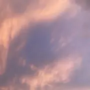 てぃんの画像