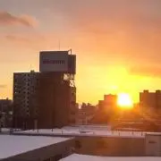 ハルハルの画像