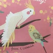 yumiの画像