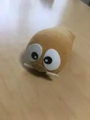 ワラビーの画像