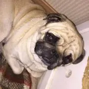 のむの画像