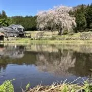 値下交渉ありの画像