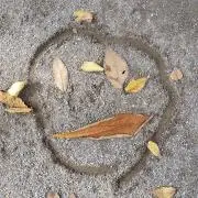 のんたんの画像