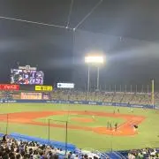 yu