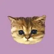 こもも◎の画像