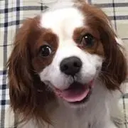 どんどん