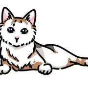 にゃんげりおんの画像