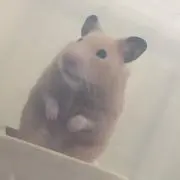 すが