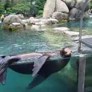 はっちるんの画像