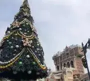 ちぃの画像