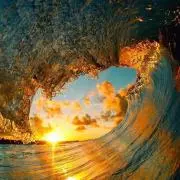 PLACEBO プレセボ TABLET FLEXLITE 6'4