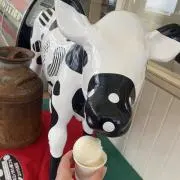 ざきの画像