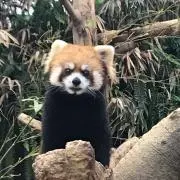 たけぽん