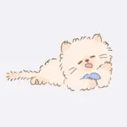 みみの画像