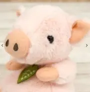 もちもちブタの画像