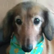 みな