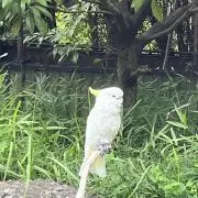 そあの画像